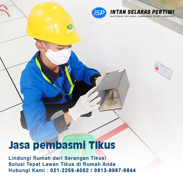 jasa pengendalian hama