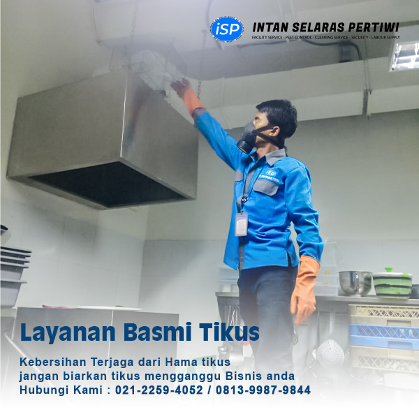 jasa pengendalian tikus